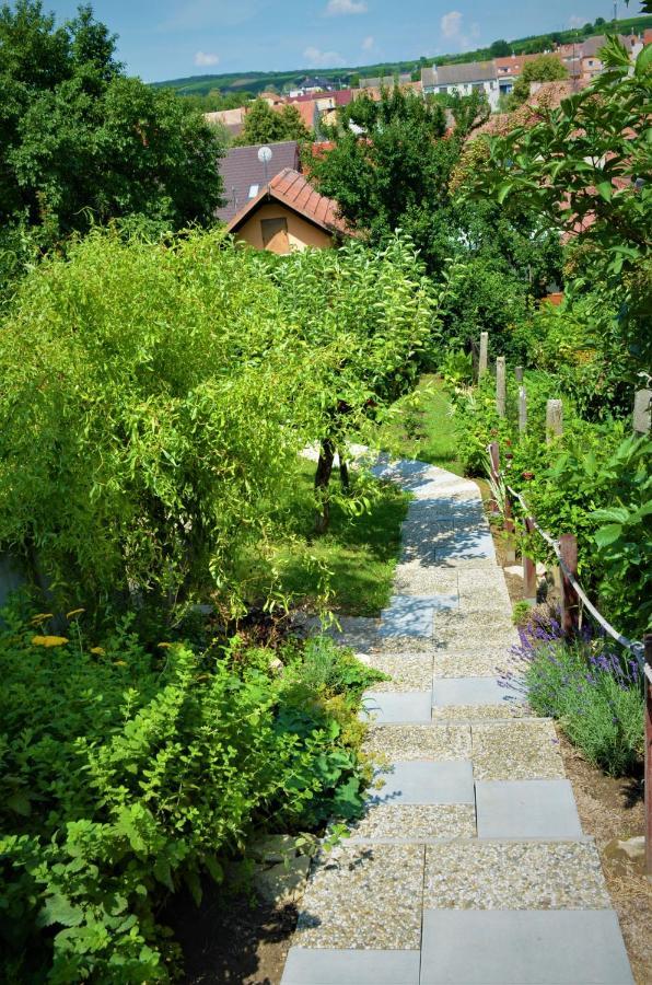 Vinarstvi Koliba Cejkovice (Hodonin)