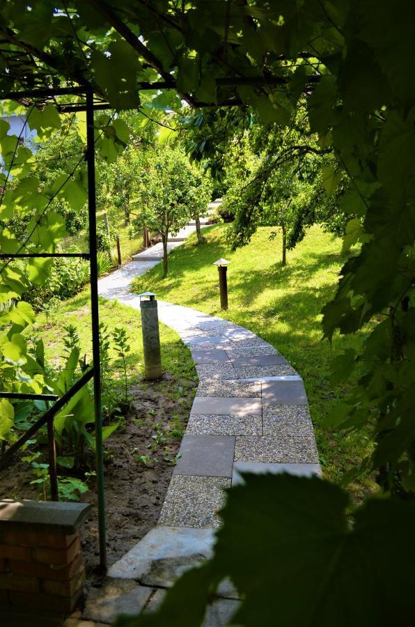 Vinarstvi Koliba * Cejkovice (Hodonin)