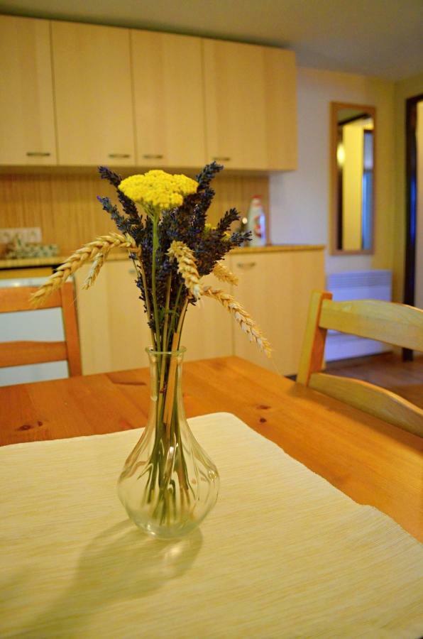 Apartment Vinarstvi Koliba Cejkovice (Hodonin)